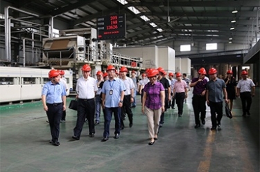 2018年9月12日，全國政協(xié)常委、提案委員會副主任郭庚茂、支樹平率領(lǐng)調(diào)研組蒞臨公司開展調(diào)研
