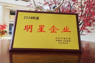新春新景新氣象 | 景興紙業(yè)在平湖三干大會上喜摘榮譽(yù)！